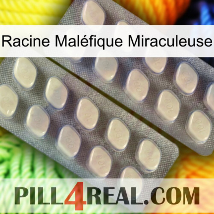 Racine Maléfique Miraculeuse 07